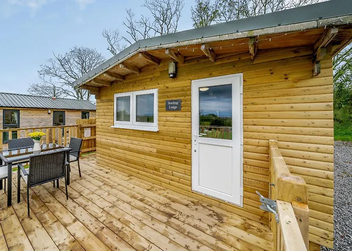 Starling - Uk31071 *