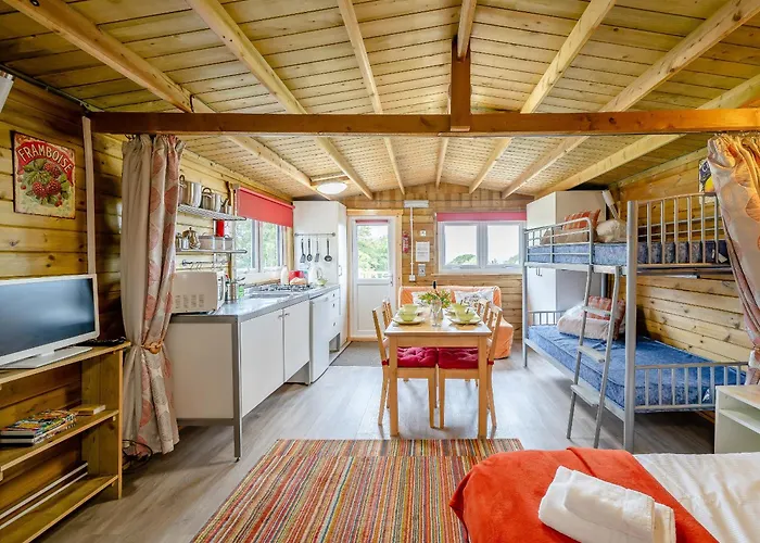 Starling - Uk31071 Westward