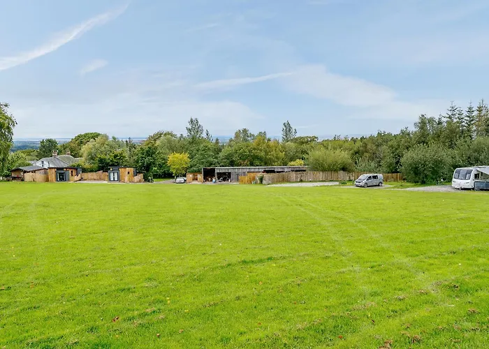 Starling - Uk31071 Westward